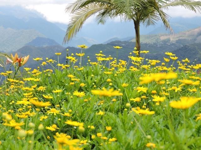 Hotel Reserva Monarca サレント エクステリア 写真